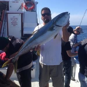 Meet your Posher, Ken